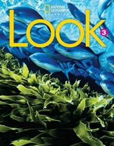 Obrazek Look A1 Level 3 SB NE