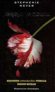 Obrazek Księżyc w nowiu