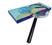 Lupa 30cm -  foreign books in polish 