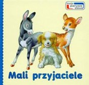 Zobacz : Mali przyj...