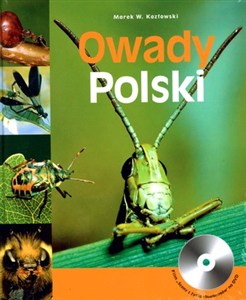 Obrazek Owady Polski z płytą CD