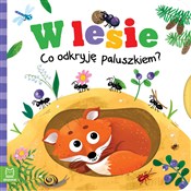 Zobacz : W lesie Co... - Grażyna Wasilewicz