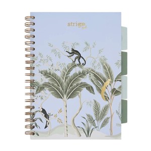 Obrazek Kołozeszyt Pads B5/100K kratka Afryka pastel nieb