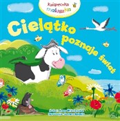 Cielątko p... - Joanna Babula (ilustr.), Anna Wiśniewska -  Polish Bookstore 