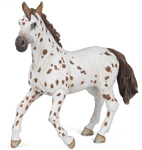 Obrazek Klacz Appaloosa