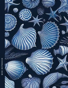 Picture of Notatnik 128x165/64K kratka muszle FRESH