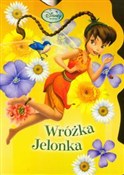polish book : Wróżki Wró...