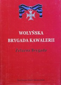 Picture of Wołyńska Brygada Kawalerii Żelazna Brygada