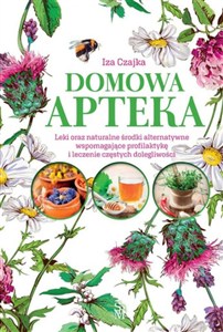 Obrazek Domowa apteka Leki oraz naturalne środki alternatywne wspomagające profilaktykę i leczenie częstych dolegliwości