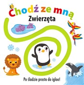 Chodź ze m... - Opracowanie Zbiorowe -  foreign books in polish 