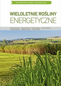 Obrazek Wieloletnie rośliny energetyczne