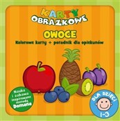 polish book : Karty obra... - Natalia Minge, Krzysztof Minge