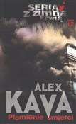 polish book : Płomienie ... - Alex Kava