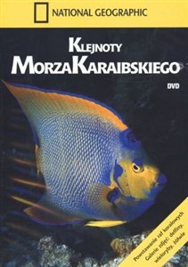Picture of Klejnoty Morza Karaibskiego (DVD)