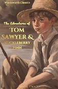 Tom Sawyer... - Mark Twain -  foreign books in polish 