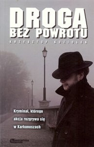 Picture of Droga bez powrotu