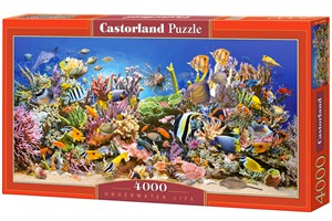 Obrazek Puzzle Underwater Life 4000