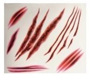 Picture of Tatuaże zmywalne na ciało