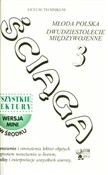 Polska książka : Ściąga 3 M... - Dariusz Pietrzyk, Dorota Stopka
