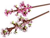 Książka : Lego Botan...