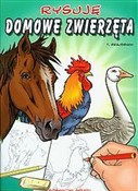 Polska książka : Rysuję zwi... - Thierry Beaudenon