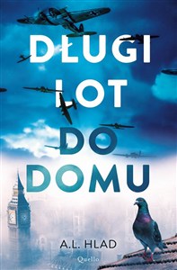 Obrazek Długi lot do domu