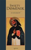 polish book : Święty Dom... - Jan Spież