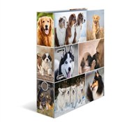 Segregator... - Ksiegarnia w UK