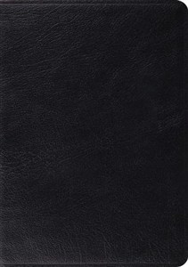 Picture of ESV Archaeology Study Bible (Black)