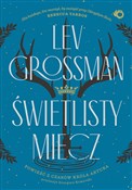 Polska książka : Świetlisty... - Lev Grossman
