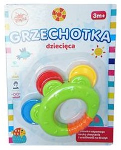 Picture of Grzechotka tamburyn