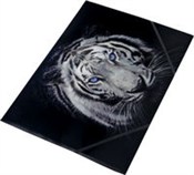 Książka : Tiger tecz...