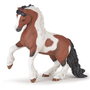 Picture of Koń Irish cob