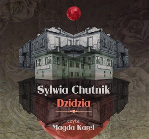 Obrazek [Audiobook] Dzidzia