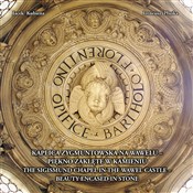 Polska książka : Kaplica Zy... - Ireneusz Płuska