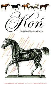 Picture of Koń Kompendium wiedzy