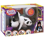 polish book : Kooky Krit...