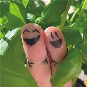 Picture of Chewing gums