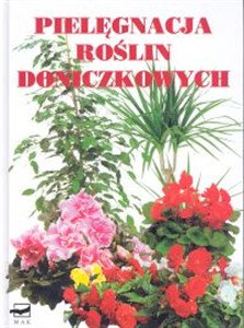 Obrazek Pielęgnacja roślin doniczkowych