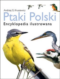 Obrazek Ptaki Polski Encyklopedia ilustrowana
