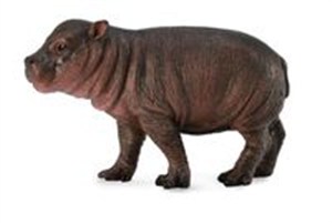 Obrazek Hipopotam karłowaty młode S