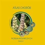 Książka : Atlas chor... - Marek Korbas, Ewa Jajor, Joanna Horoszkiewicz-Janka