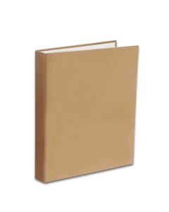 Obrazek Segregator A5/2R Penmate złoty