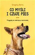 Co myśli i... - Gregory Berns -  books from Poland