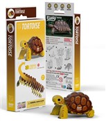 Polska książka : Żółw Lądow...