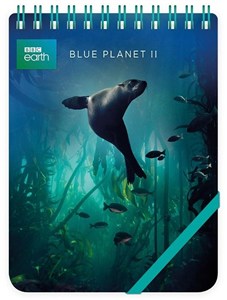 Obrazek Kołonotes ozdobny Galapagos Sea Lion