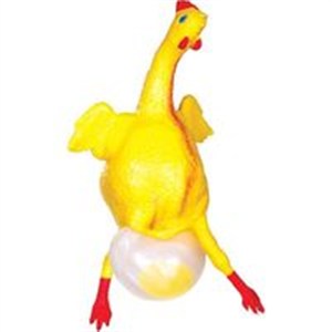 Picture of Kura znosząca jajko