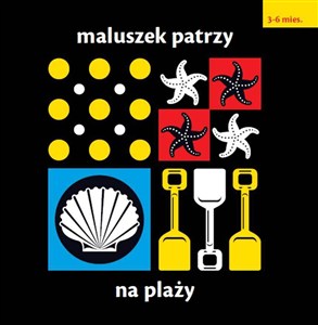 Picture of Maluszek patrzy Na plaży