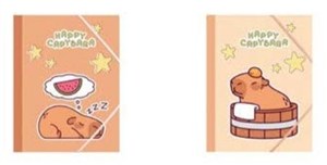 Picture of Teczka A5 4 gumką MIX