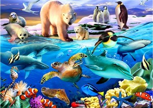 Obrazek Puzzle 1000 Ocean pełen życia